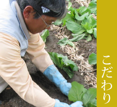 こだわり